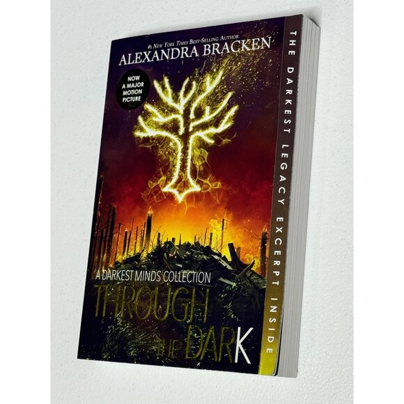 Through the Dark • Alexandra Bracken • YA Fantasy Book (Darkest Minds Collection - Picture 4 of 5